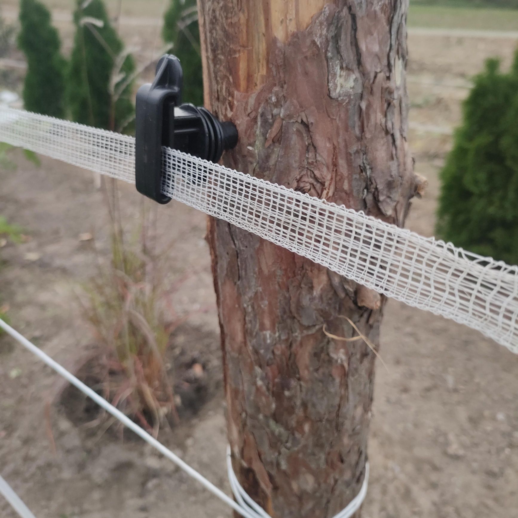 Izolatory do pastucha taśmy wkręcane