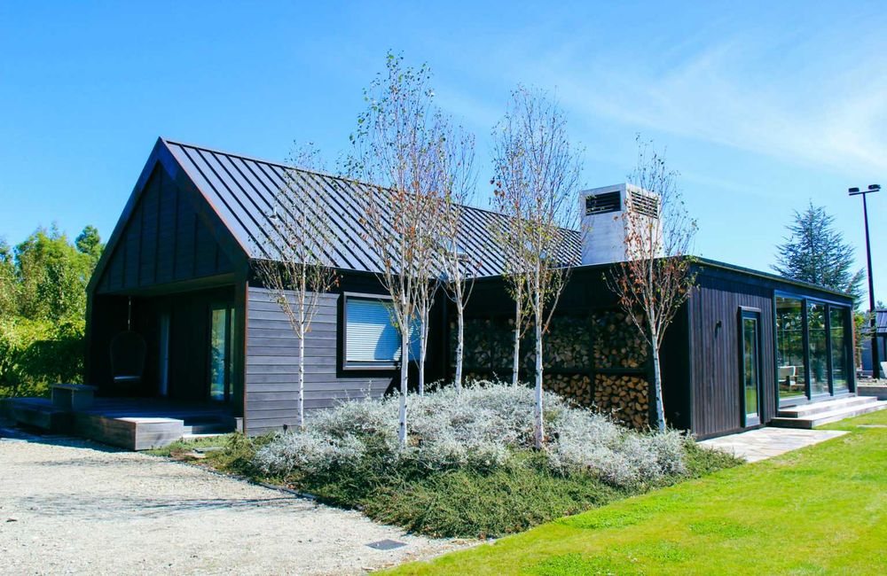 Brzoza Doorenbos - 2m - 6m duże sadzonki najbielsza kora - transport !