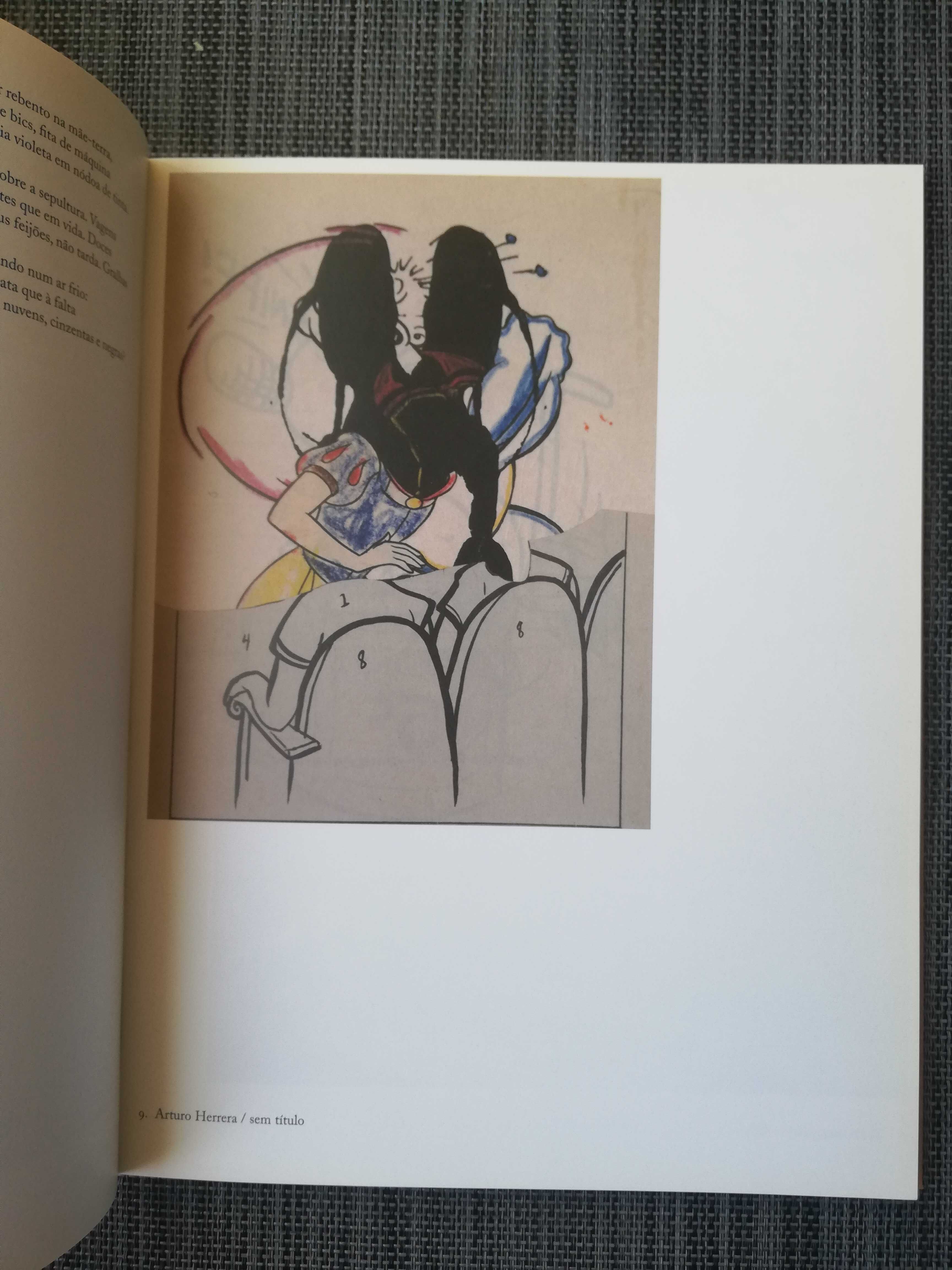 Catálogo de arte e poesia holandesa: Dias Abertos (portes grátis)