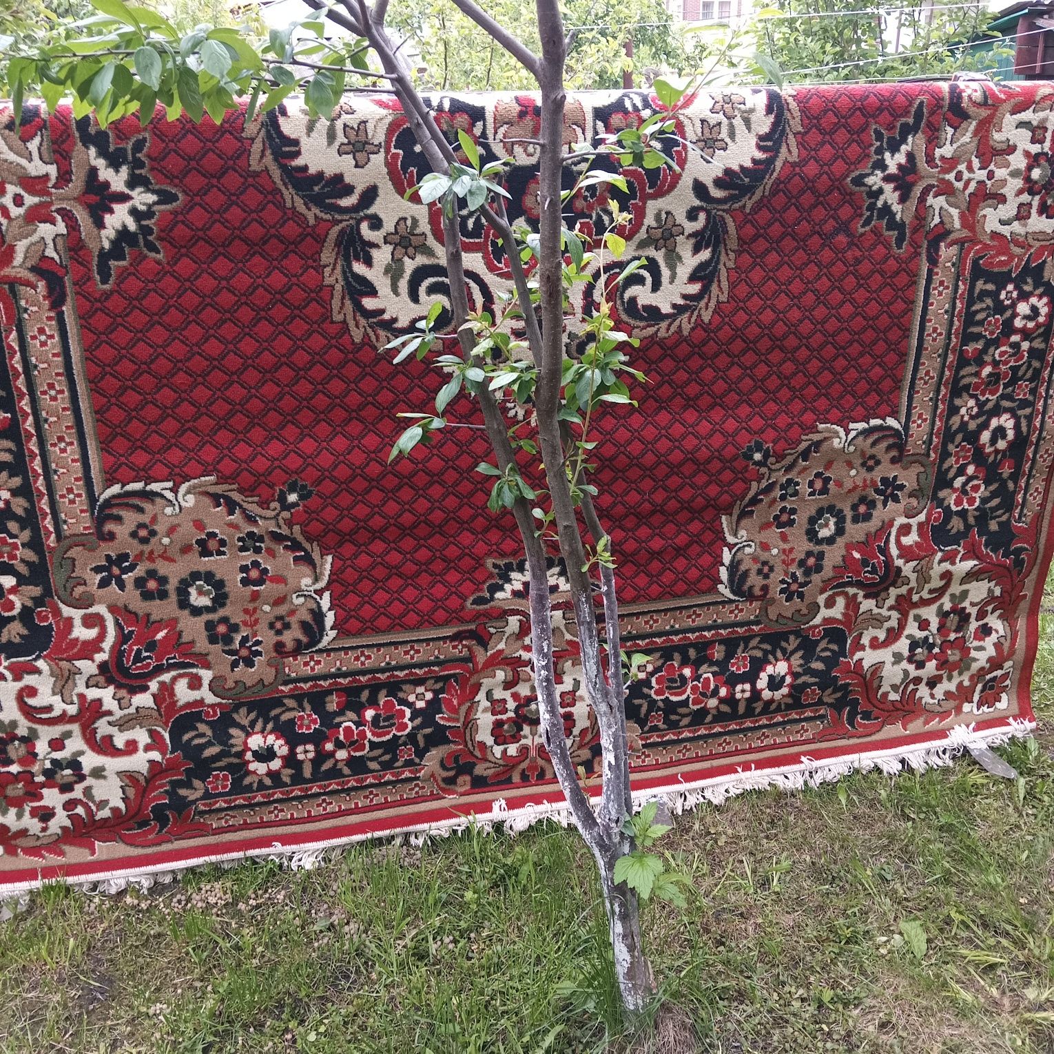 Килим 2.6м × 3.5м