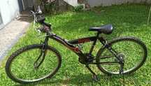 bicicleta adulto