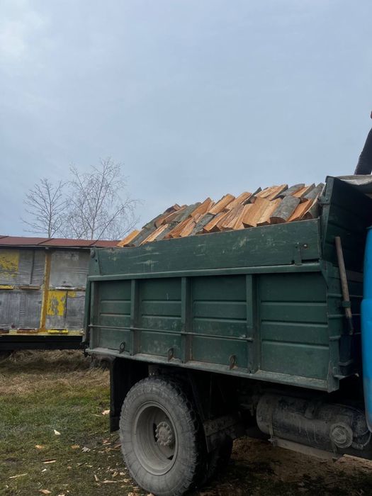 Продам дрова різних порід