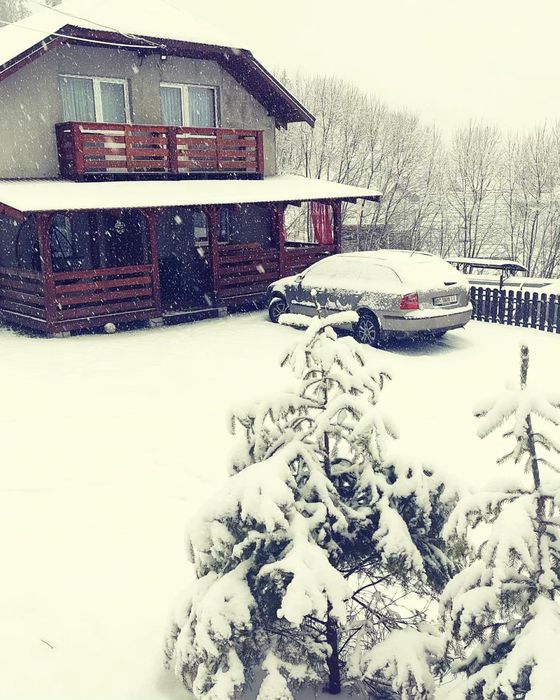 Окремий Котедж «Хата в Карпатах.»Славське