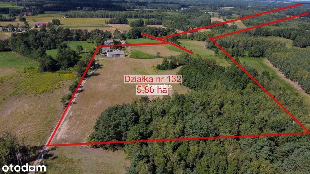 Grunt-6 ha z domem i budynkami,gm.Skępe,potencjał