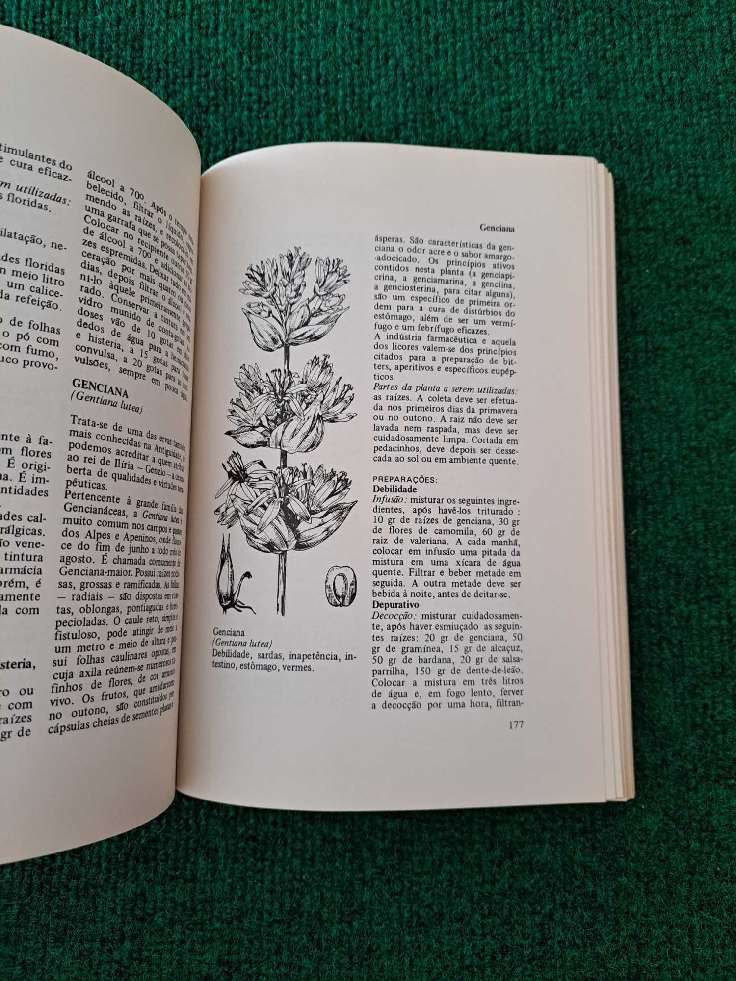 Plantas Medicinais - François Balmé