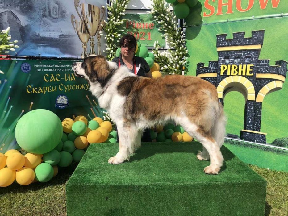 Вязка московська сторожева