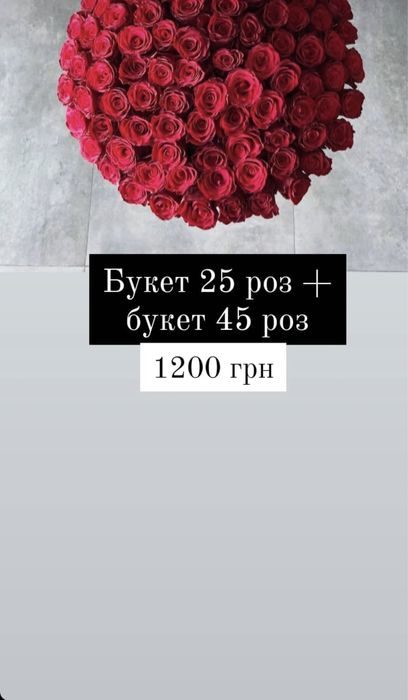 Продам цветы Розы !!!