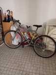 Bicicleta Shimano
