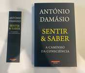 Sentir e Saber – António Damásio