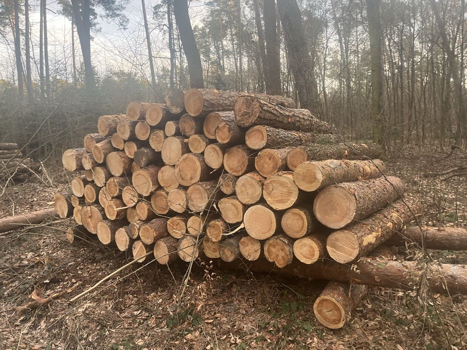 Drewno opałowe kominkowe mieszane GRATIS trasnport