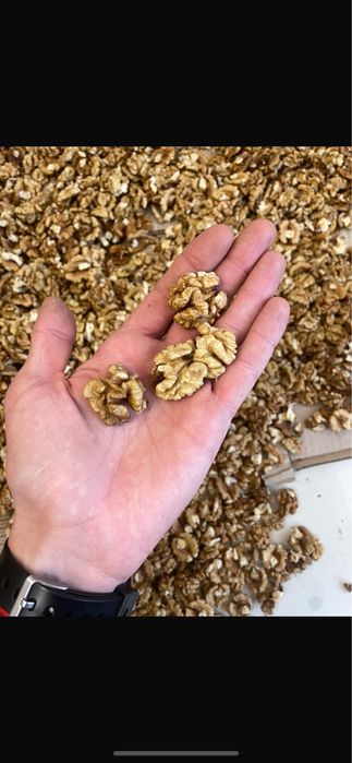 Горіх грецький чищений 2024