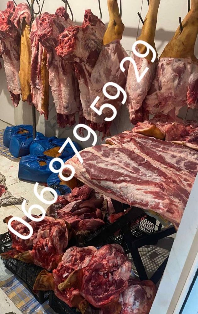 Продам  м’ясо домашньої свинини в тушках