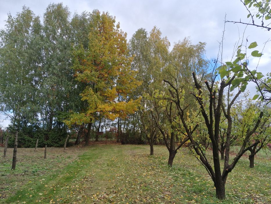 Działka budowlana Chwałko klasa IIIB