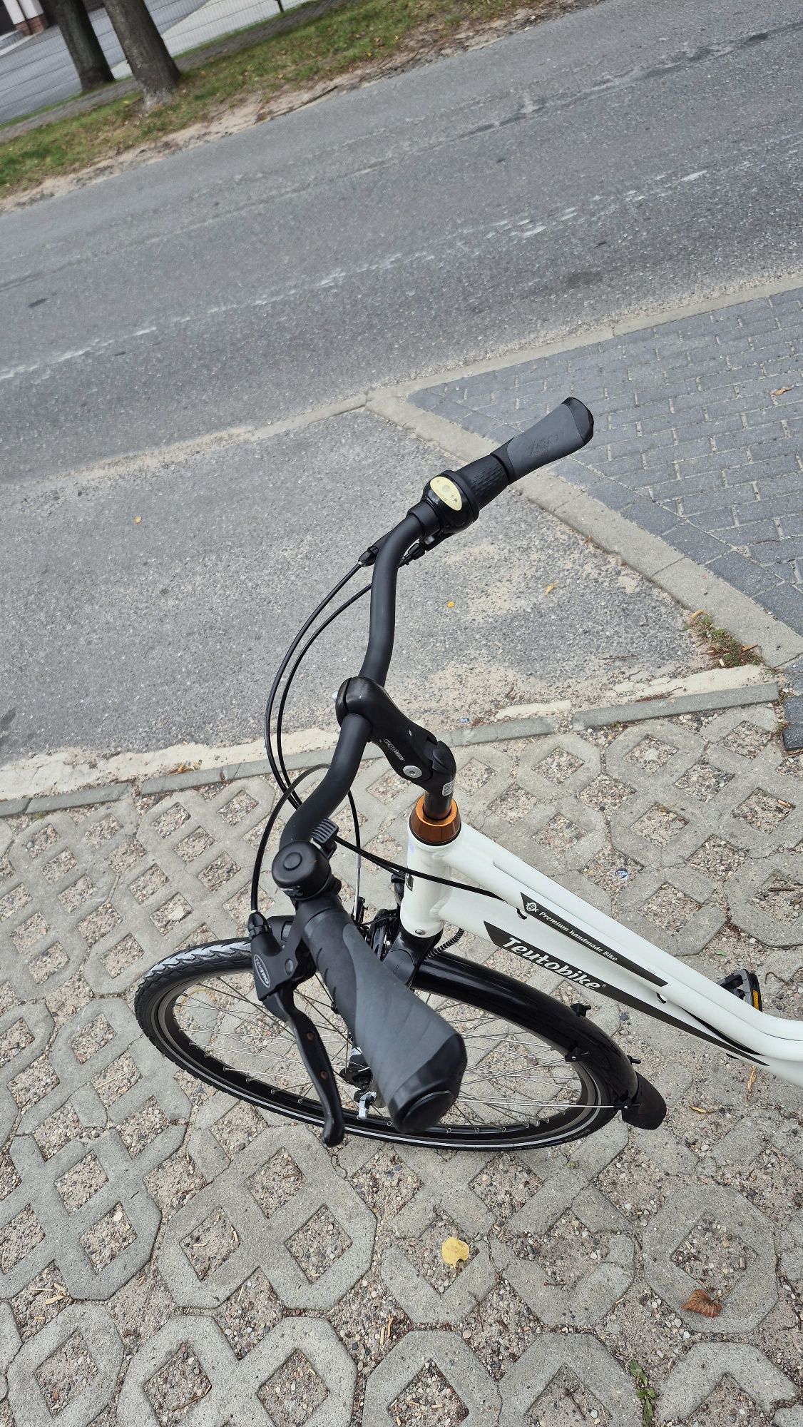 Rower  Teutobike