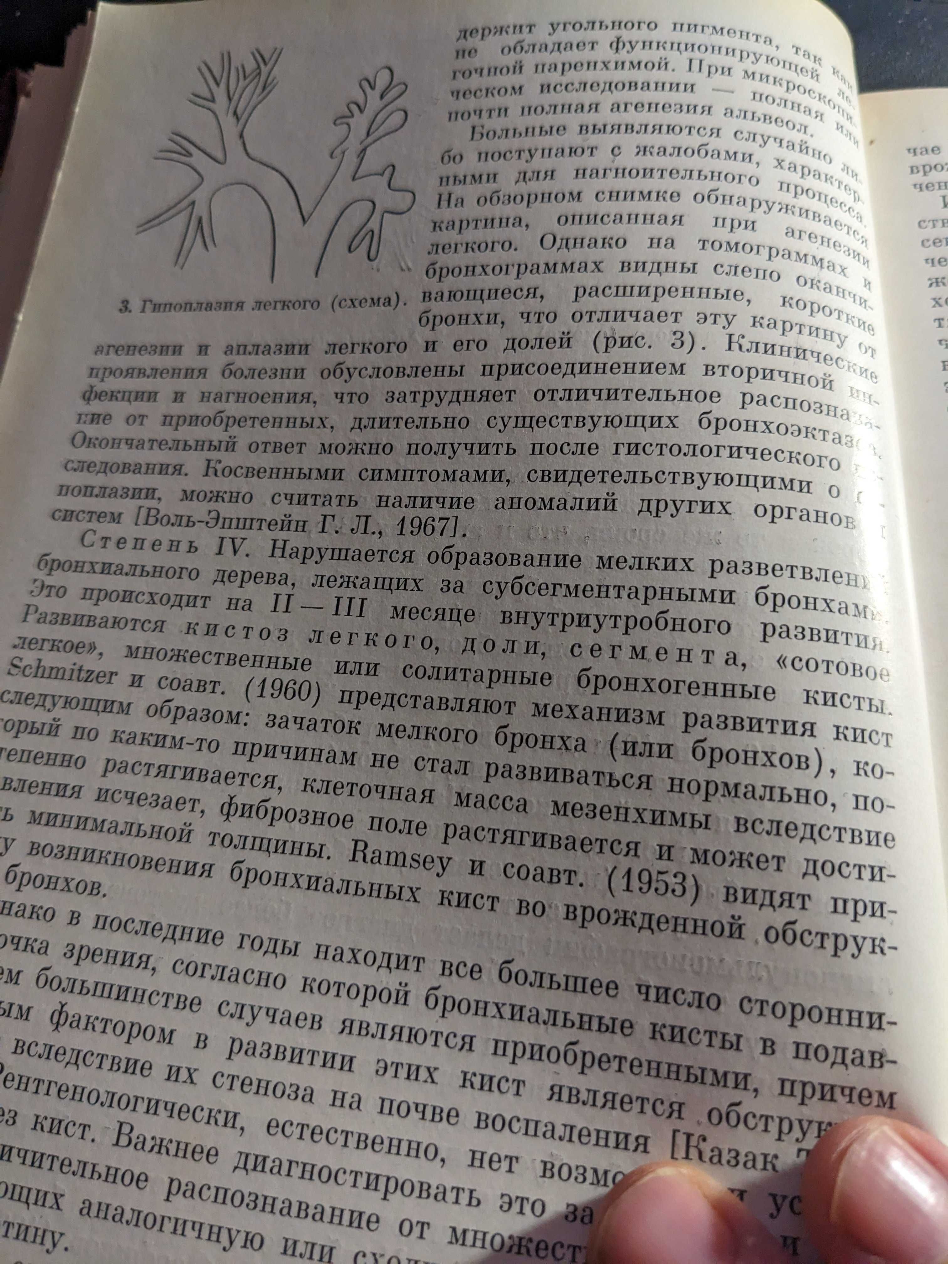 Книга клінічна Рентген -Радіологія