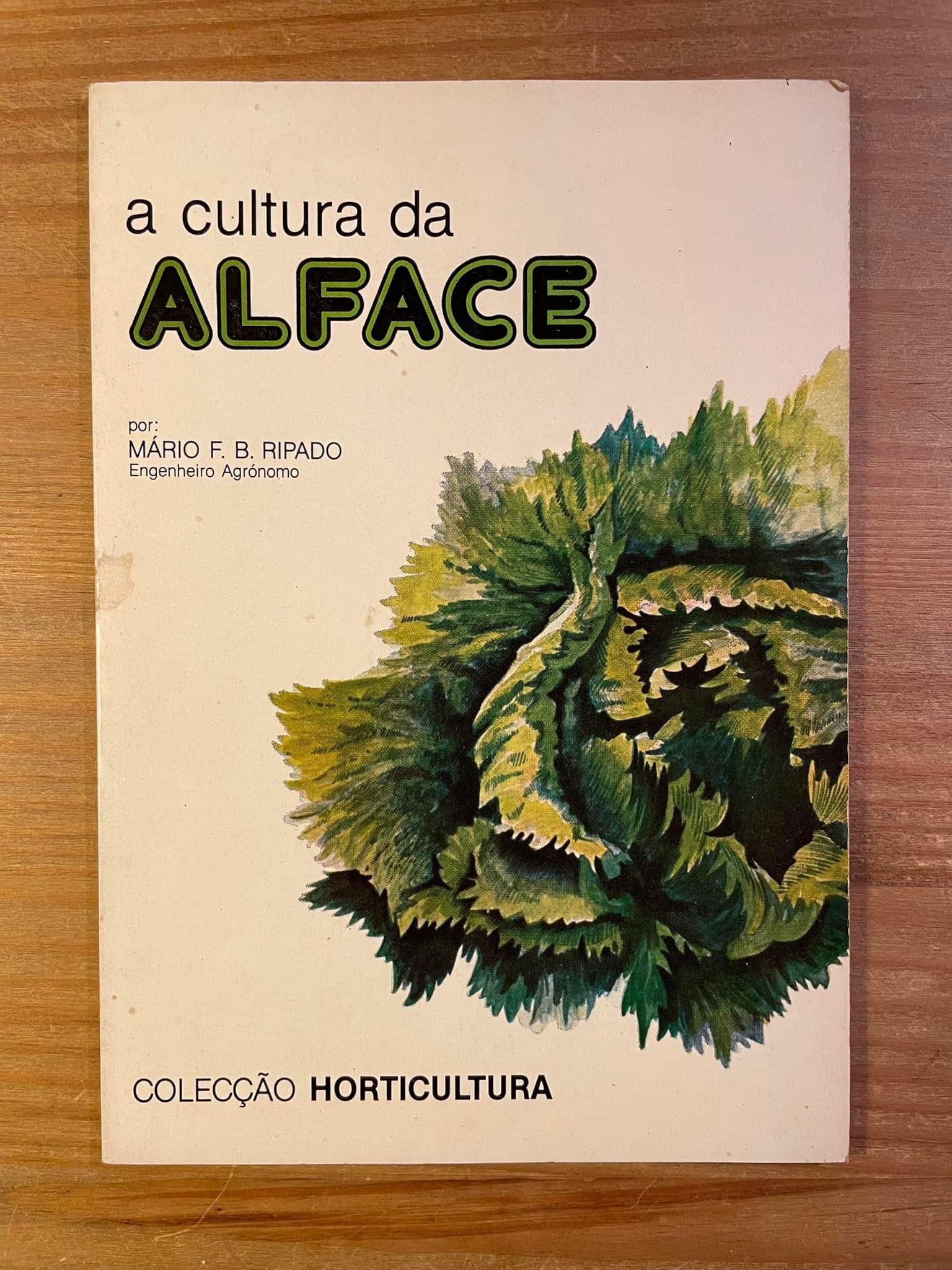 A Cultura da Alface (portes grátis)