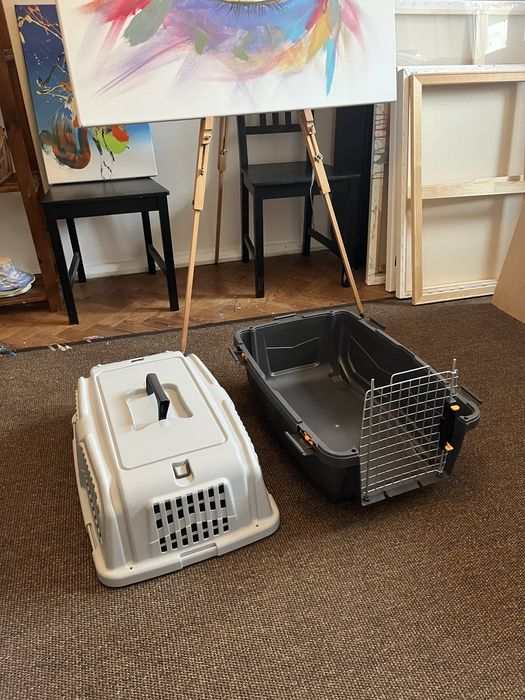 IATA transportadora nova