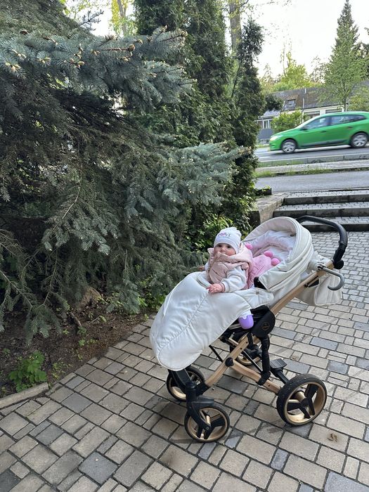Коляска 2в1 Junama Mirror Satin