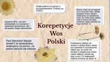 Korepetycje język polski, wiedza o społeczeństwie /MATURA 2026