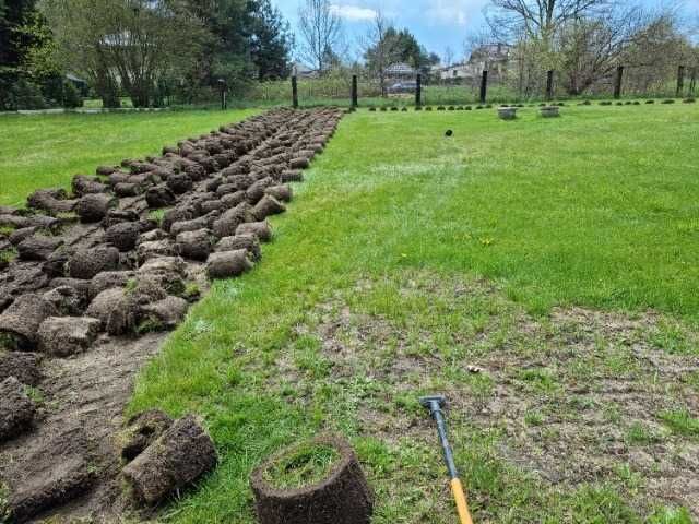 Wypożyczalnia Sprzętu Ogrodniczego Wycinarka do Darni Napęd4x4 WYNAJEM