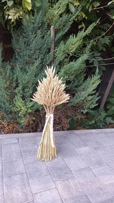 Дідухи   Снопи пшениці, жита