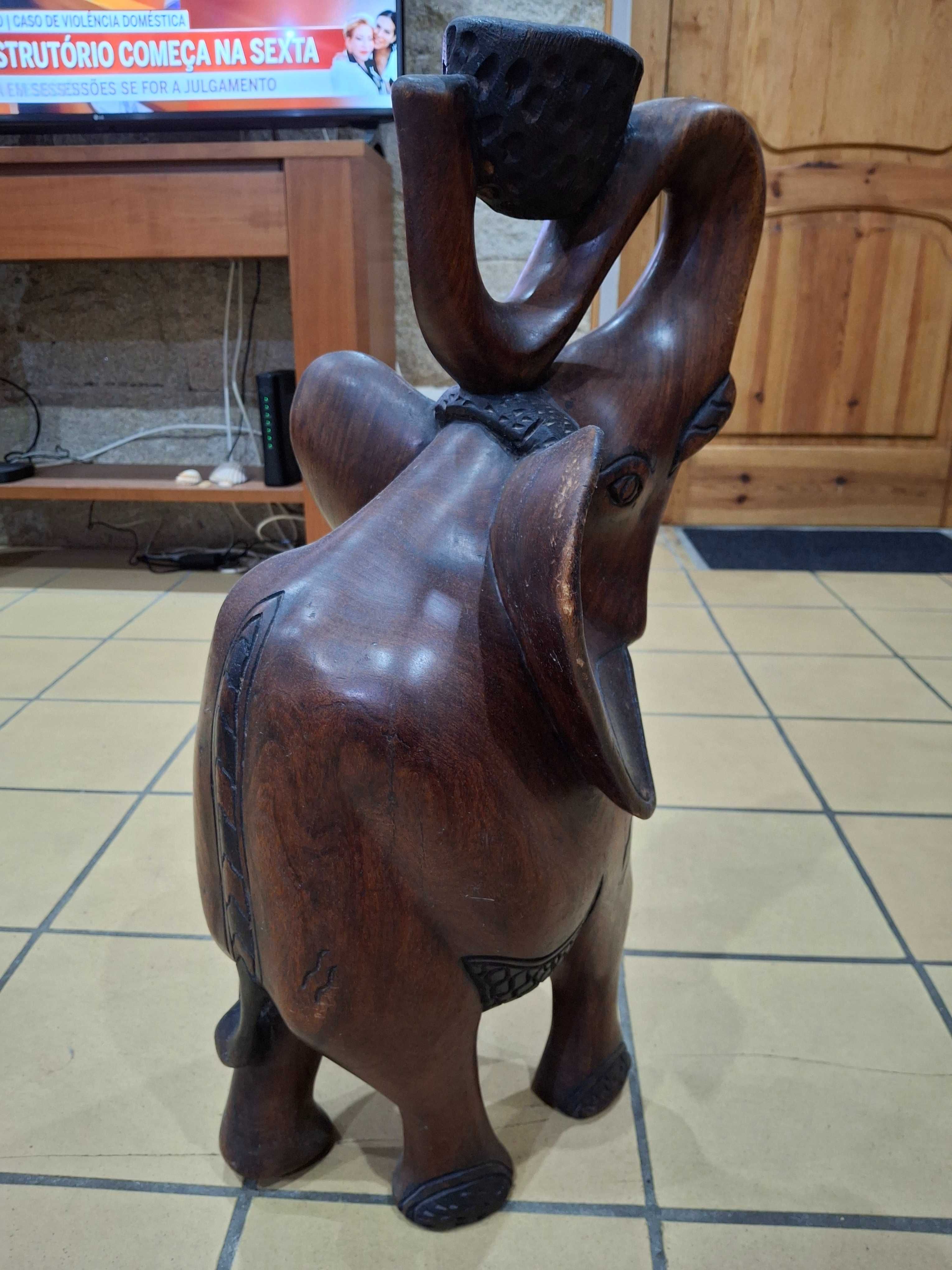 Elefante africano de madeira maciça. Peça única