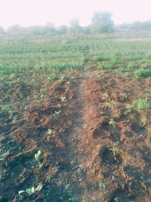 Продам дом с. Бурдовка