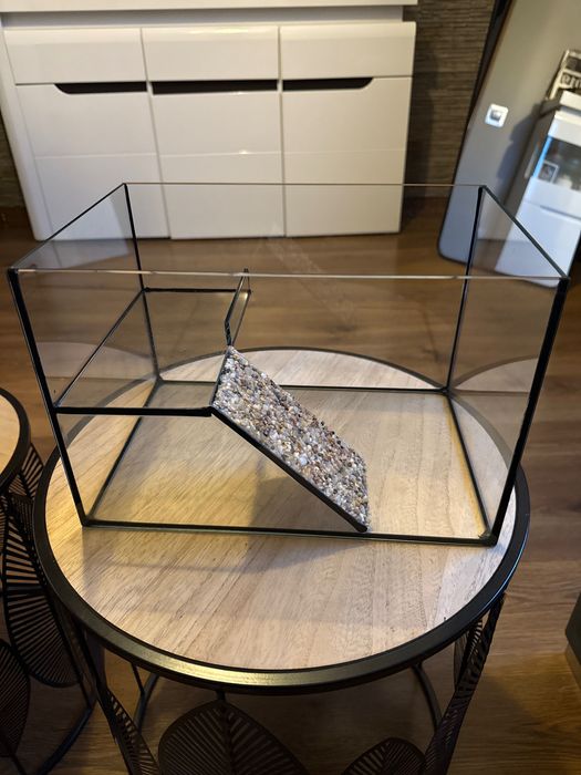 Akwarium dla żółwia wodno-lądowego