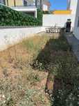 Limpeza de jardim