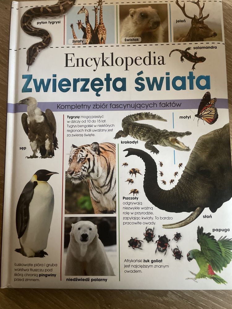Encyklopedia Zwierzęta Świata