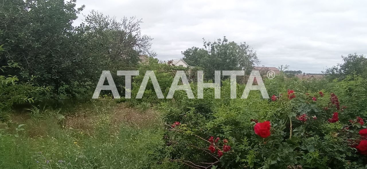Большой дом в Великой Балке/Нерубайское
