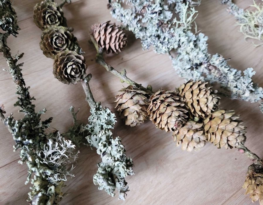 gałązki z mchem i szyszki, mech z szyszkami artykuły plastyczne