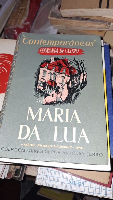 Fernanda Castro Maria da Lua livro romance