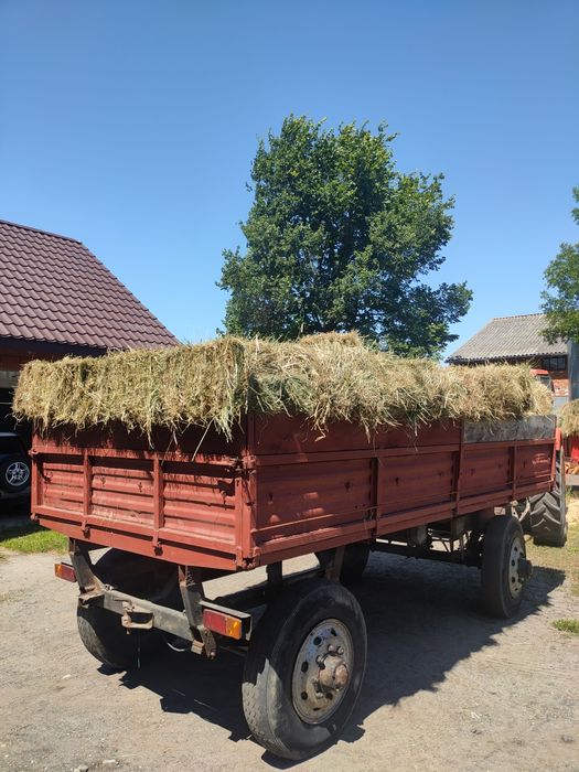 Siano kostka pierwszy pokos 2025