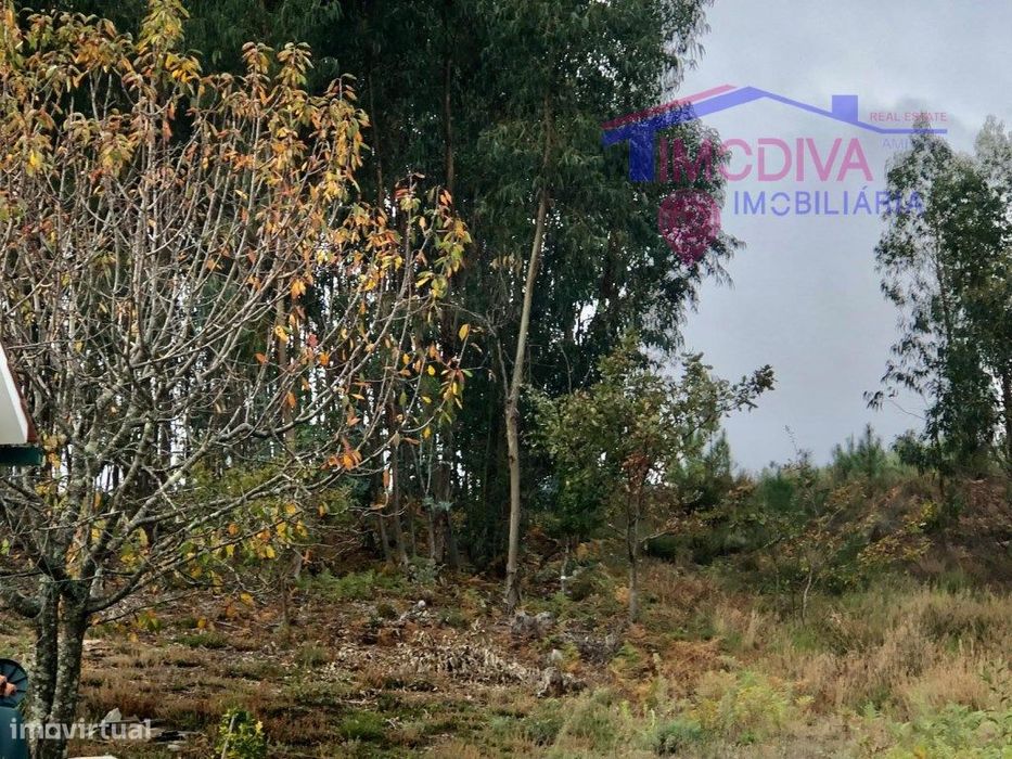 Terreno rústico com viabilidade de construção em Castanheira de Pera