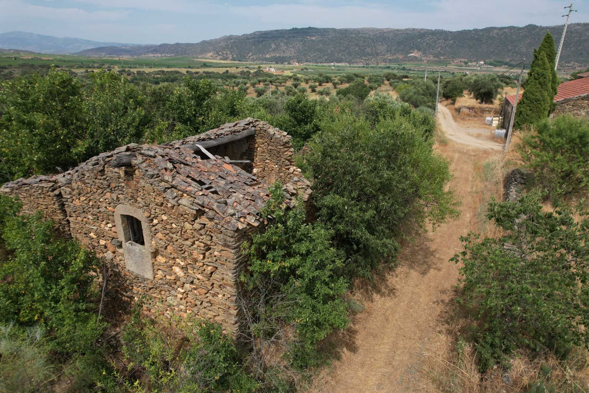 Terreno com 8 hectares, 2 Casas para reconstruir + poço e Olival