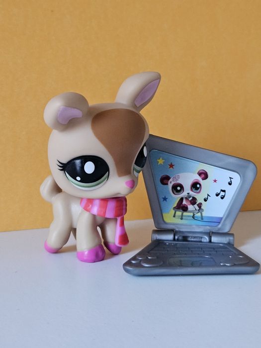 Śliczna sarenka z dodatkami