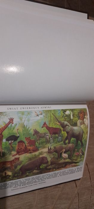 Ilustrowana encyklopedia Trzaski, Everta i Michalskiego Tom I