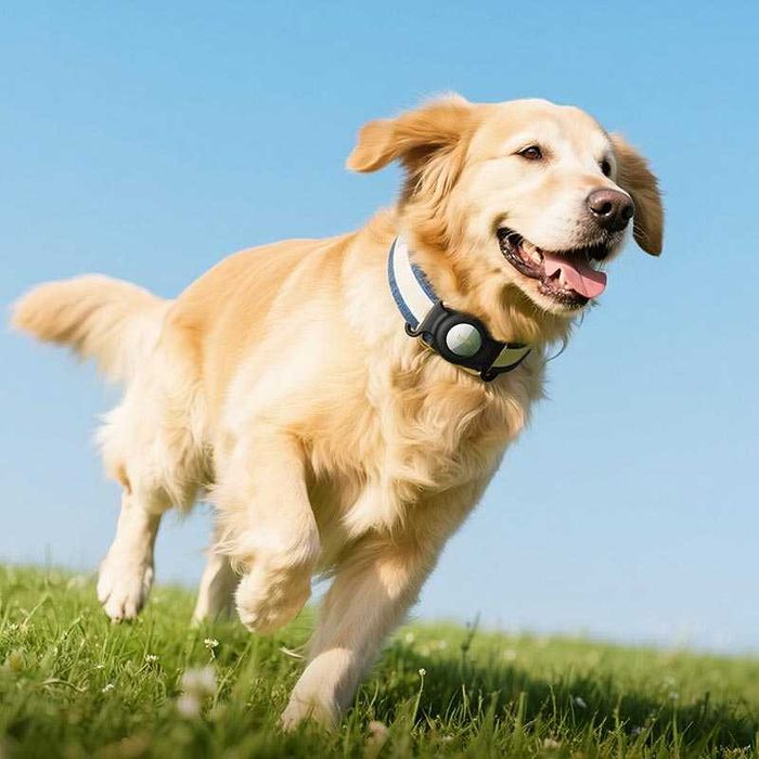 Поисковый трекер для животных HOCO E91C Apple Find My iPhone или iPad