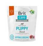 BRIT Care Hypoallergenic Puppy Lamb - 1 kg x 2