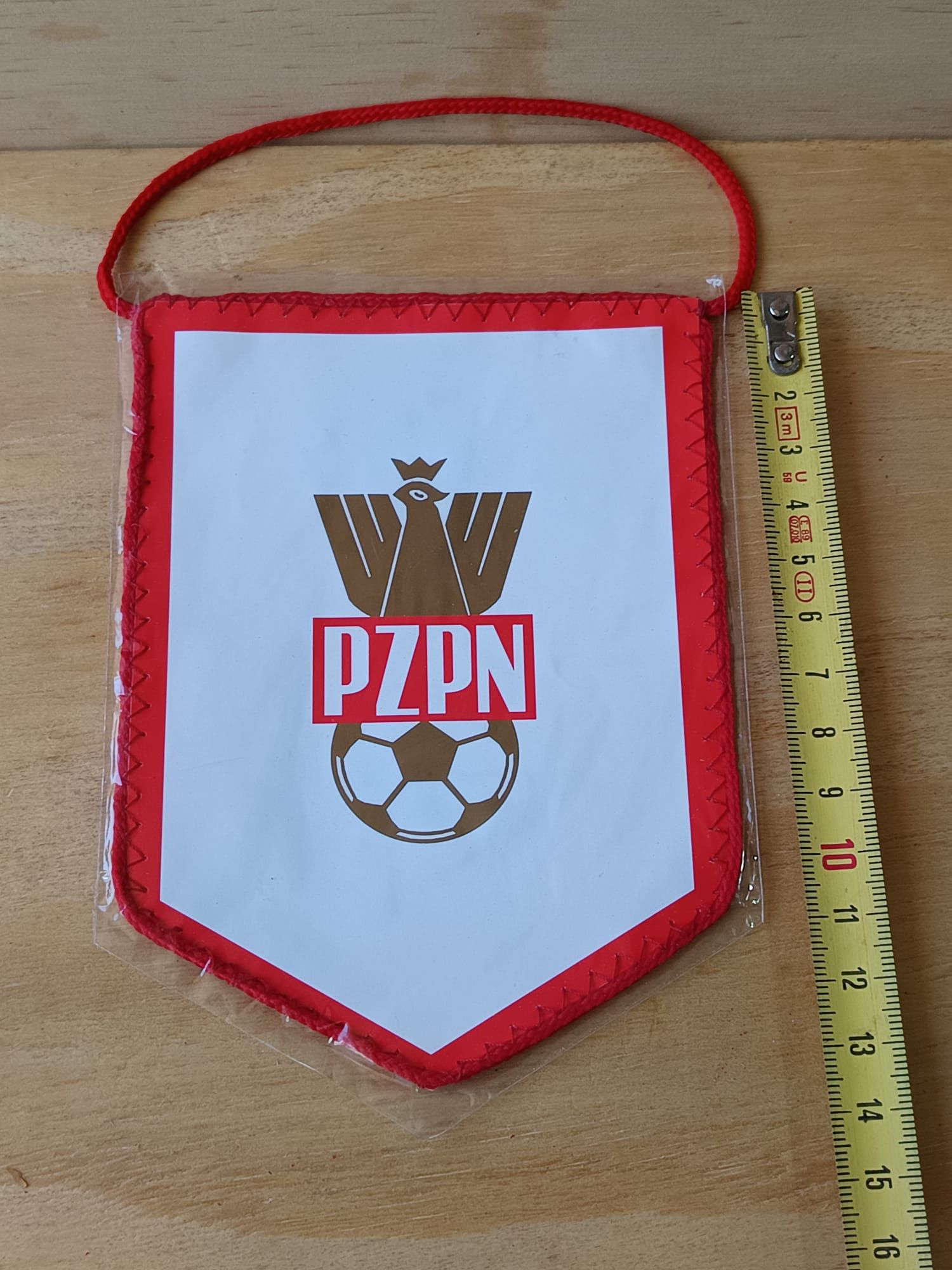 Seleção futebol Polónia