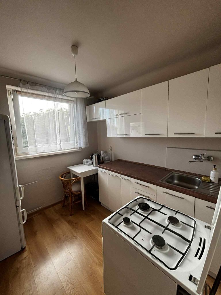 Mieszkanie na wynajem, 50m2, dwa pokoje, salon