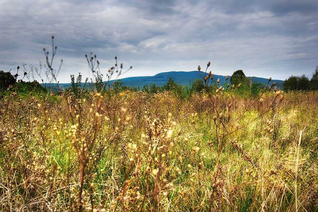 Продам 25 сот землі під будівництво по супер ціні.