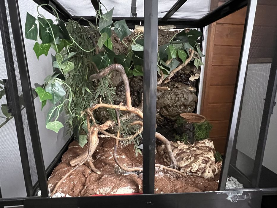 ExoTerra terrarium