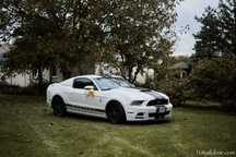 Ford mustang 2014 rok