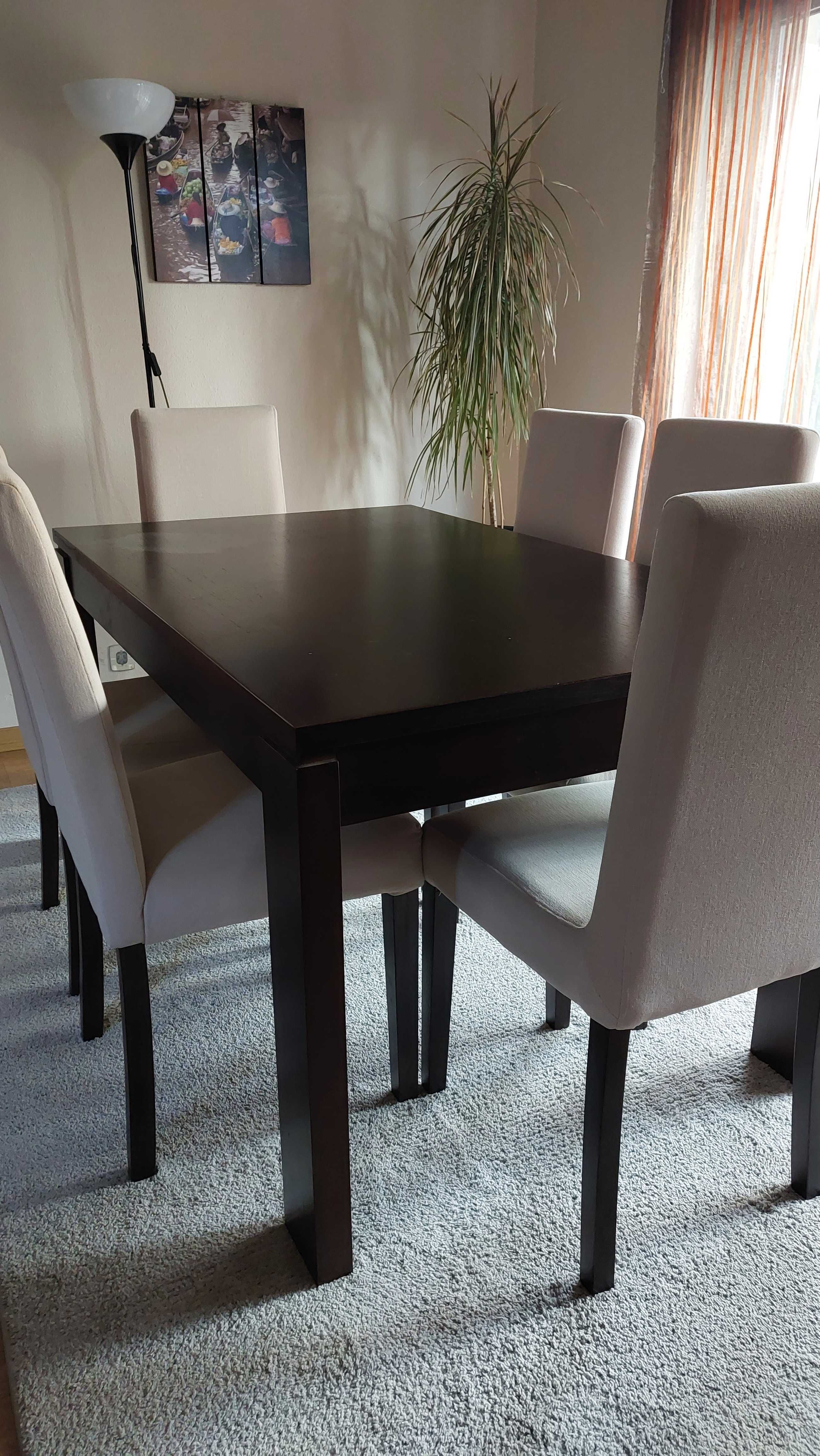 Mesa e 6 cadeiras