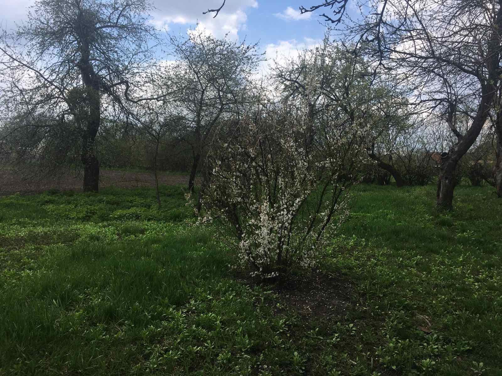 Будинок з чудовим видом