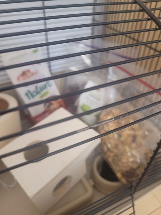Klatka dla chomika z pokarmem i wiórkami do klatki. Używana