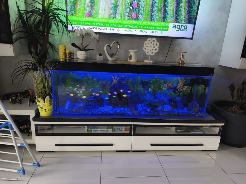 Akwarium 350 L ryby osprzęt cały zestaw