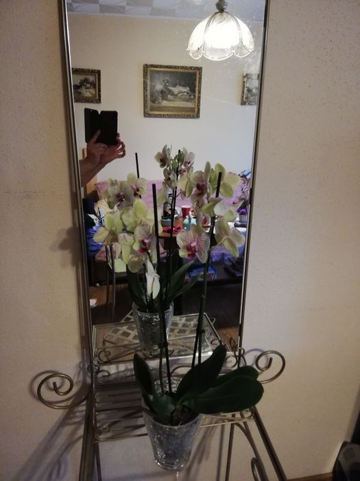 Komplet mebli metalowych stylowe